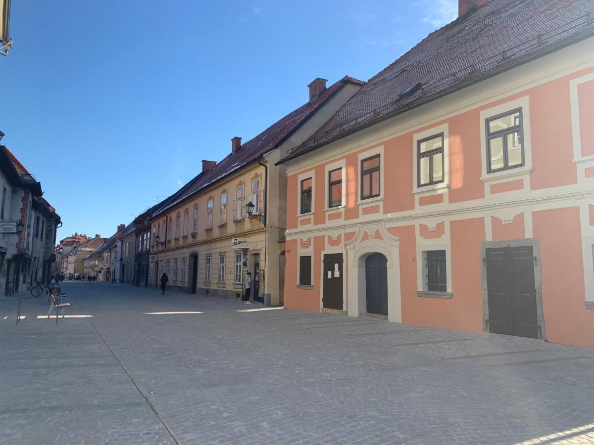 Appartement Bella Donna à Maribor Extérieur photo